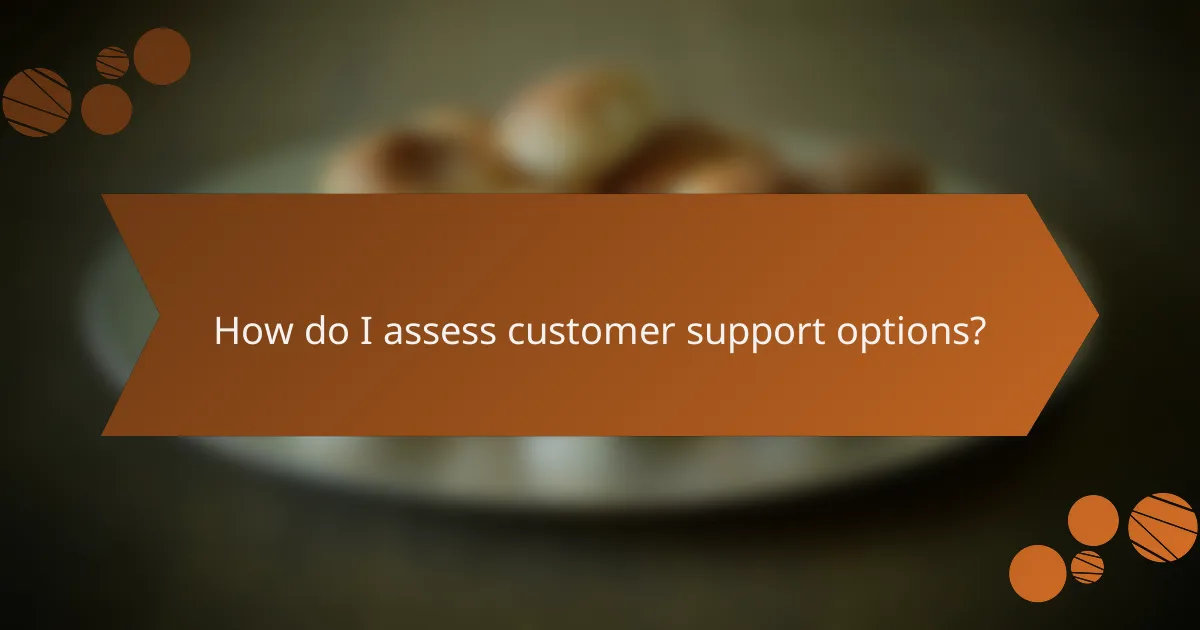 How do I assess customer support options?