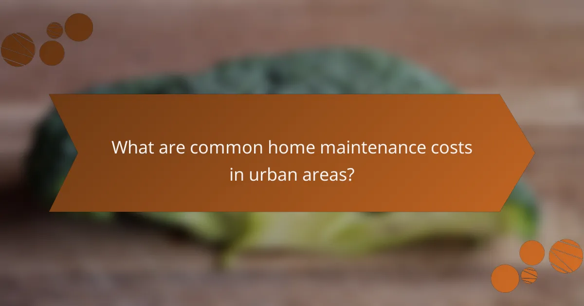 What are common home maintenance costs in urban areas?