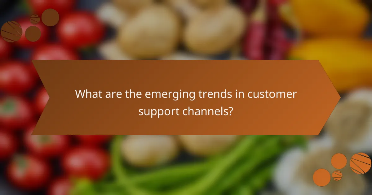 What are the emerging trends in customer support channels?